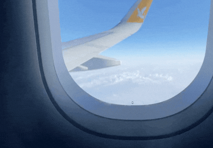 VIAJÁ